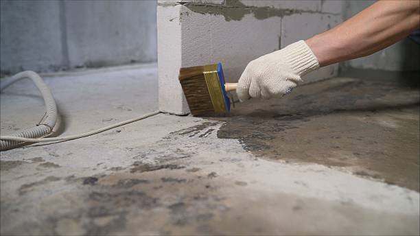 SJ Waterproofing Pros Waterproofing coverage map for Frankenmuth, MI and surrounding area